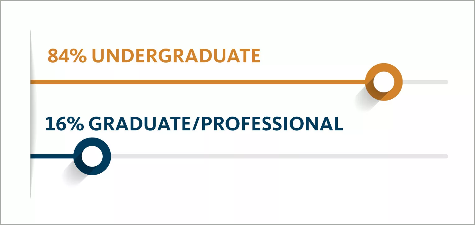 2023 student type breakdown: 84% undergraduate, 16% graduate/professional